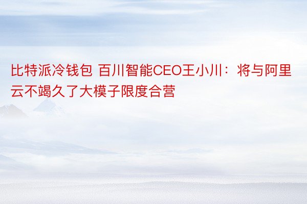 比特派冷钱包 百川智能CEO王小川：将与阿里云不竭久了大模子限度合营