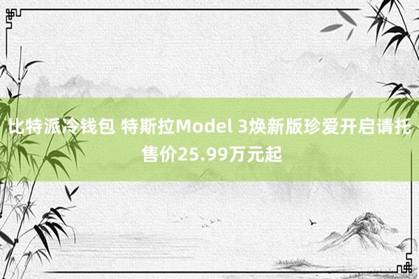 比特派冷钱包 特斯拉Model 3焕新版珍爱开启请托 售价25.99万元起