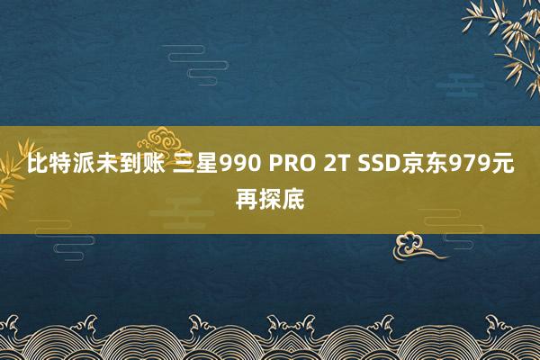 比特派未到账 三星990 PRO 2T SSD京东979元再探底