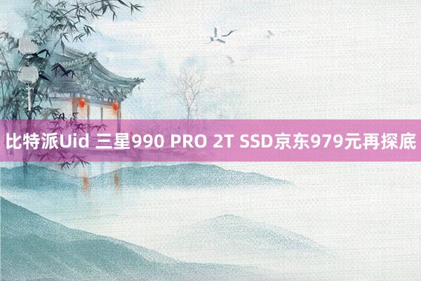 比特派Uid 三星990 PRO 2T SSD京东979元再探底