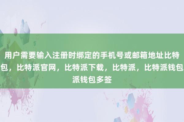 用户需要输入注册时绑定的手机号或邮箱地址比特派钱包，比特派官网，比特派下载，比特派，比特派钱包多签