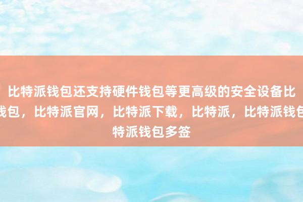 比特派钱包还支持硬件钱包等更高级的安全设备比特派钱包，比特派官网，比特派下载，比特派，比特派钱包多签