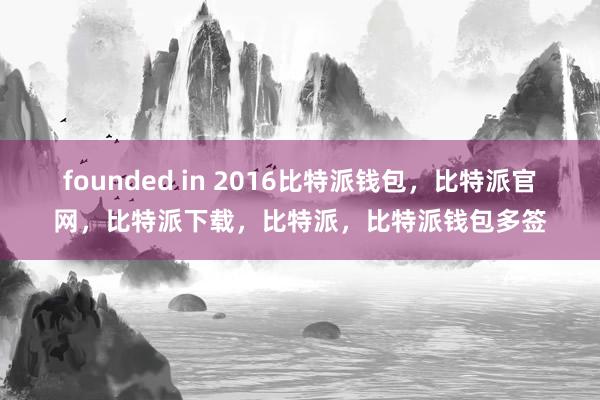 founded in 2016比特派钱包，比特派官网，比特派下载，比特派，比特派钱包多签