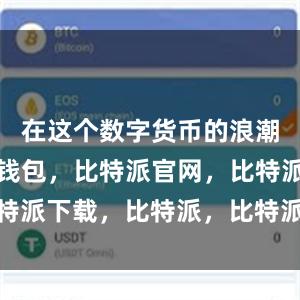 在这个数字货币的浪潮中比特派钱包，比特派官网，比特派下载，比特派，比特派钱包多签