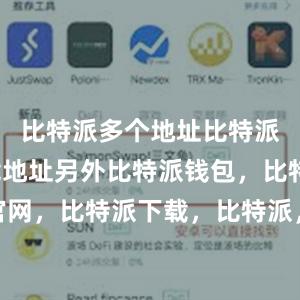 比特派多个地址比特派官方下载地址另外比特派钱包，比特派官网，比特派下载，比特派，比特派钱包多签